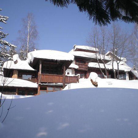 Apartments Carevo Polje Zlatibor Bagian luar foto