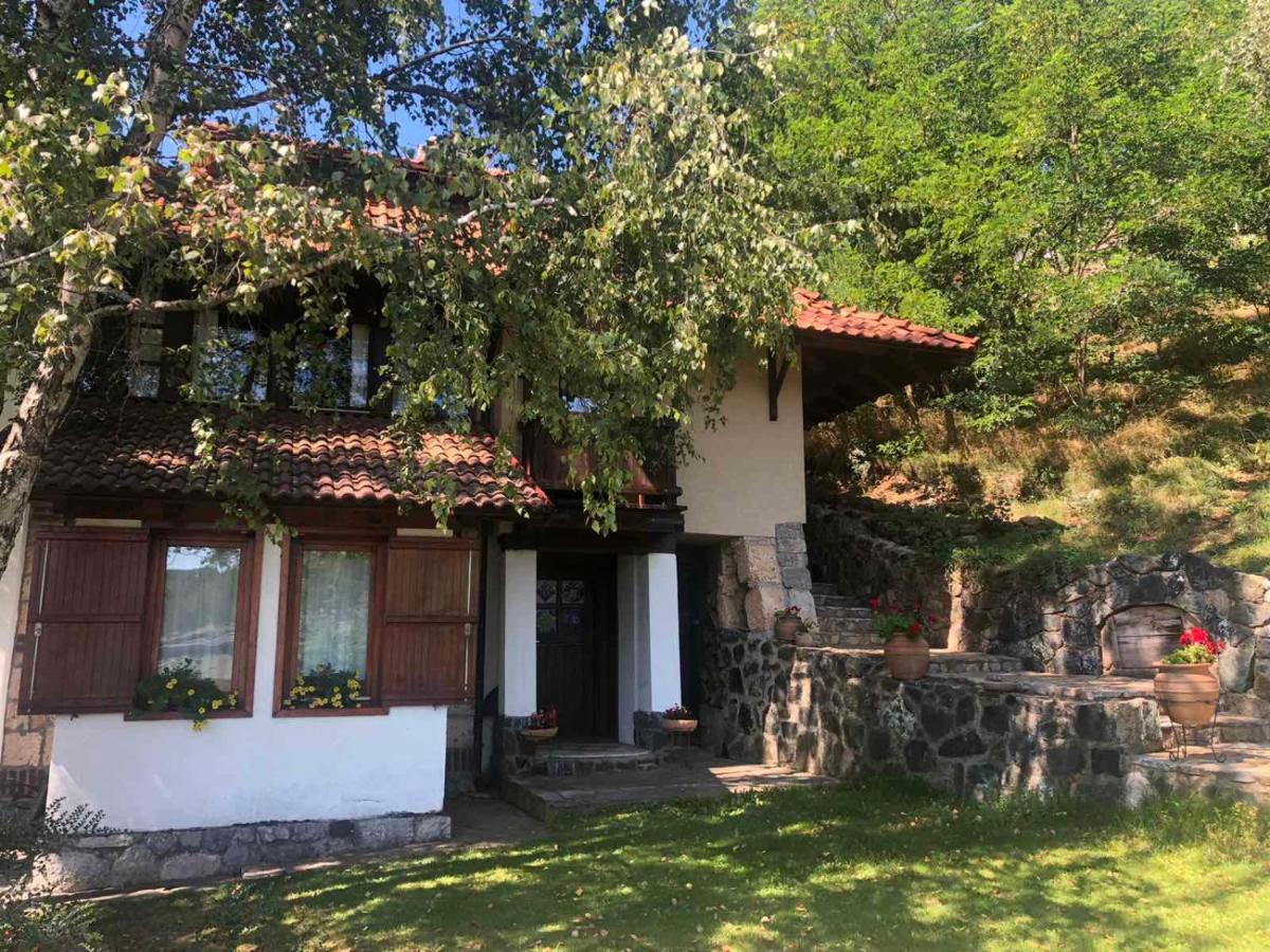 Apartments Carevo Polje Zlatibor Bagian luar foto